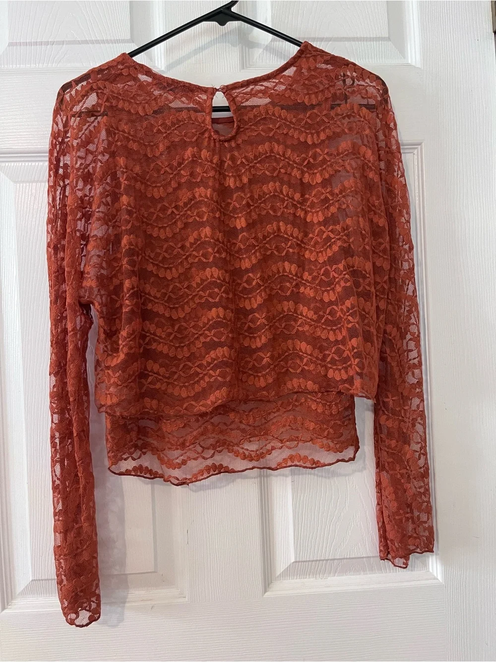 Zara Rust Lace Long-Sleeve Sheer Blouse